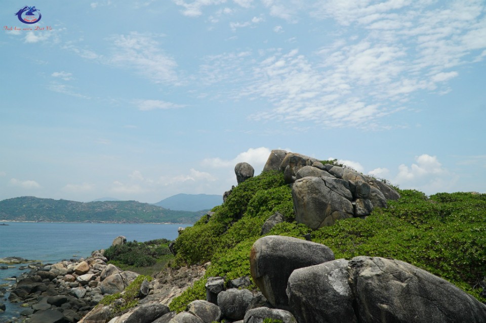 upload/news/WDOFQ_06.jpg