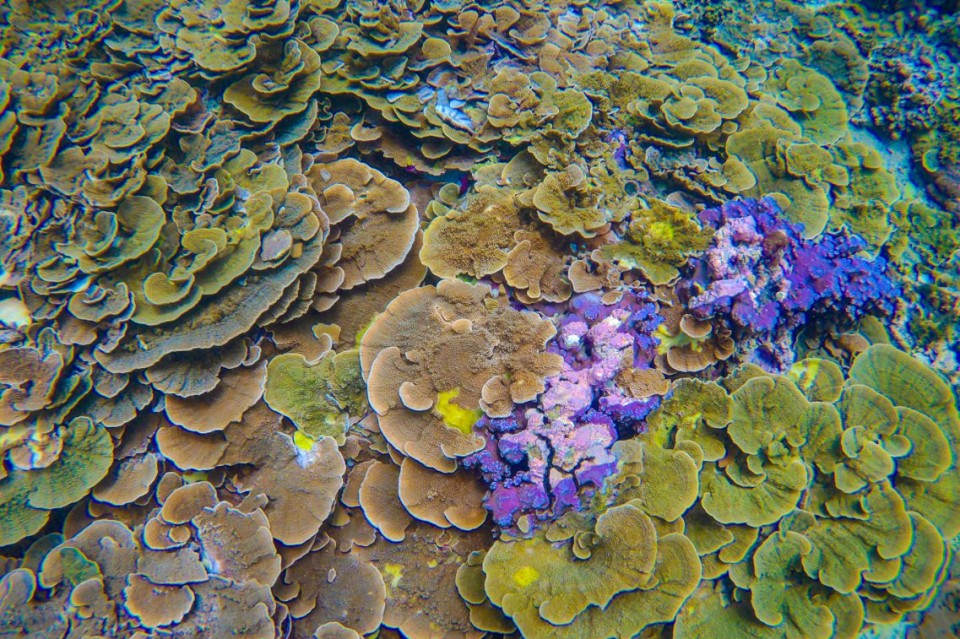 upload/news/h8QLm_tour-quy-nhon-phu-my-01-(4).jpg